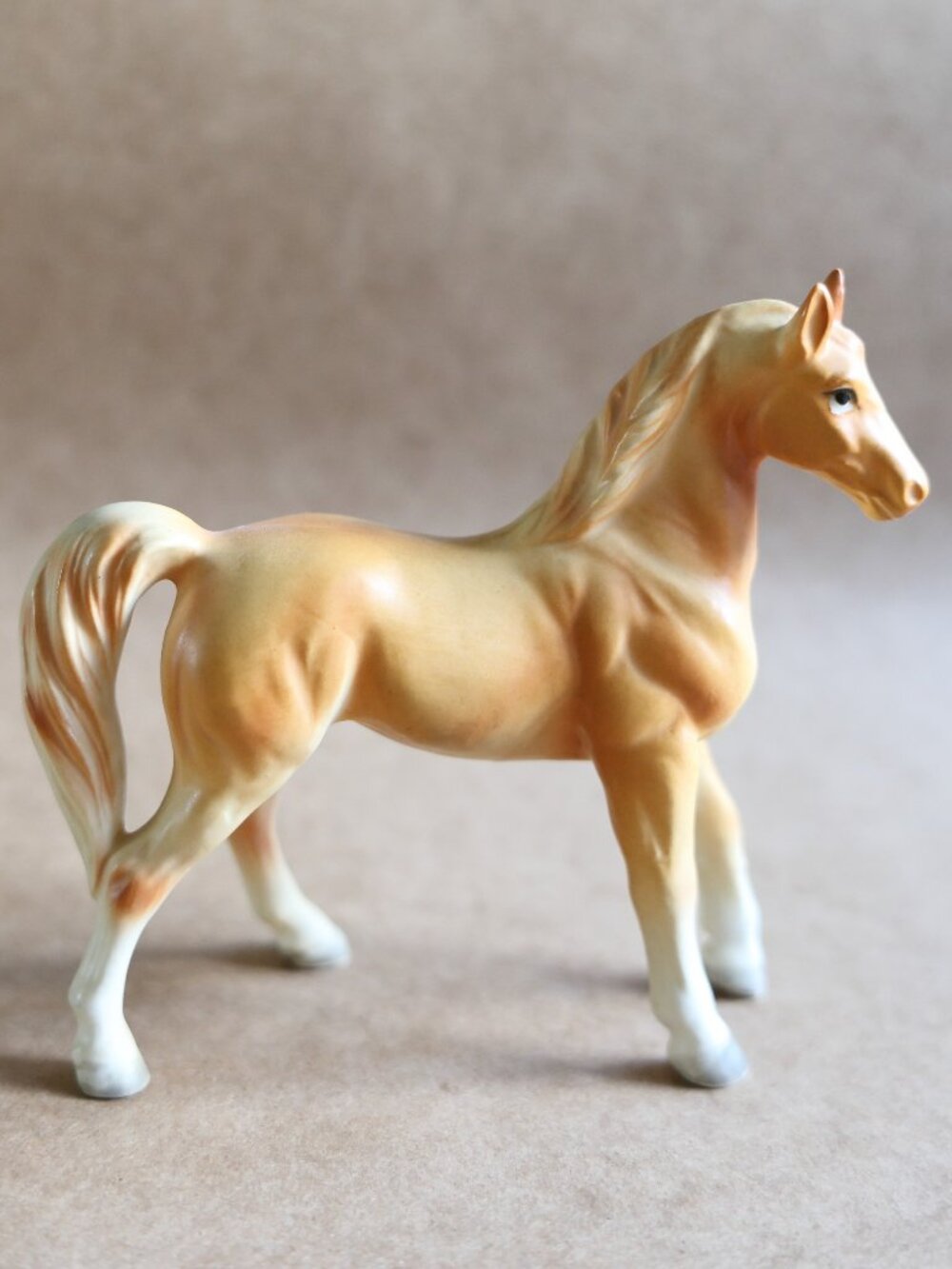palomino stallion
